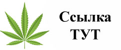 Купить наркотики в Новокубанске